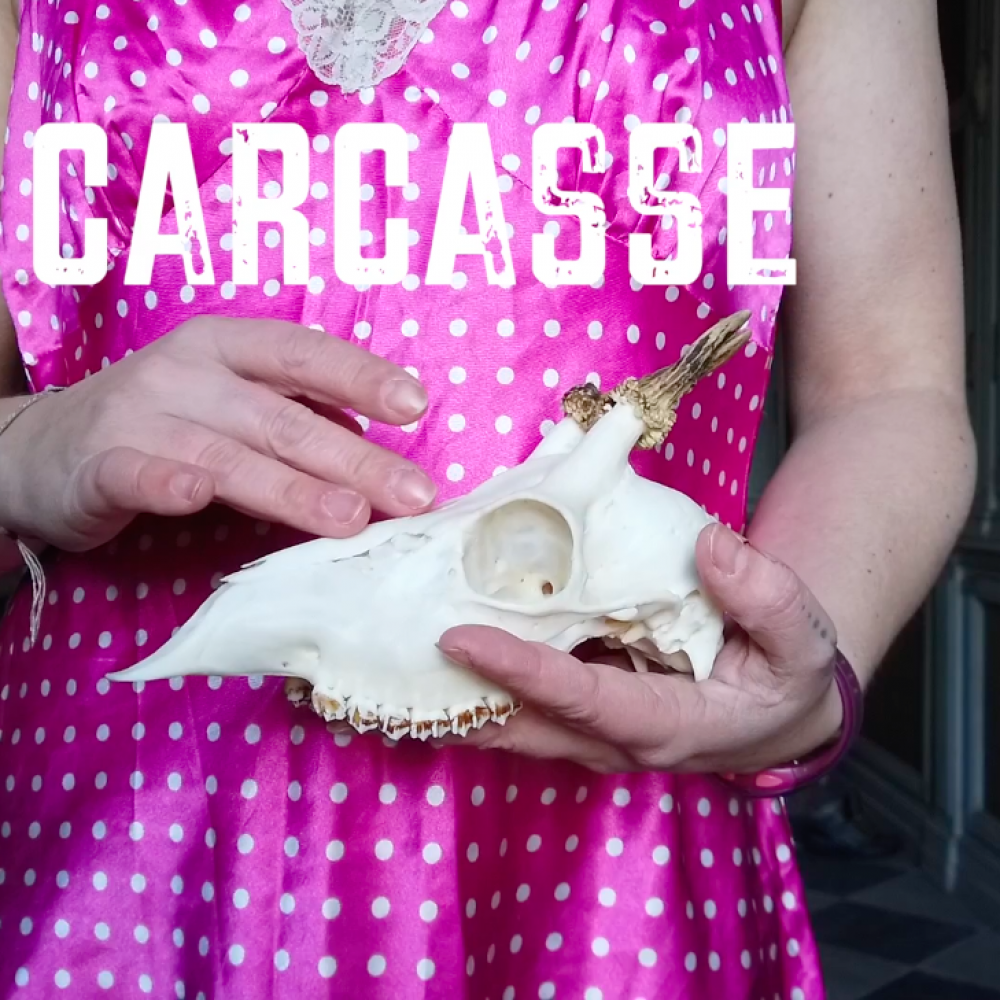Carcasse - Collectif MicroFocus